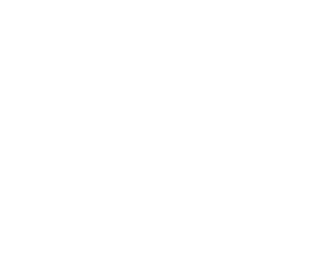 digital nirvana